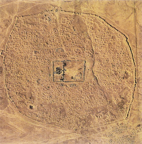 aerea_-da-penna-laura-su-dvd-gialla