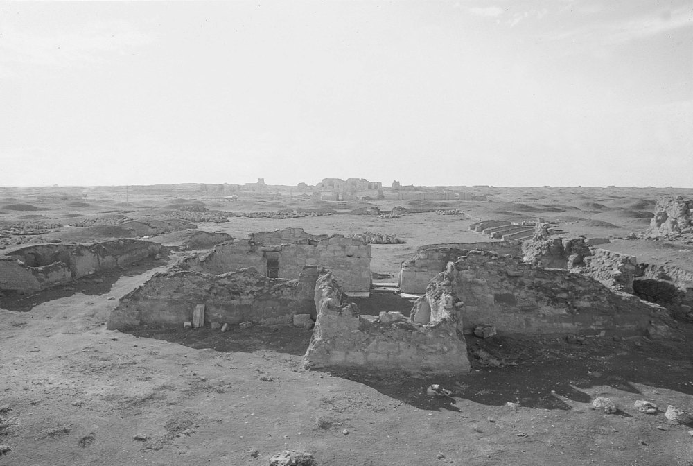 t13_dae_exiii0115-mostrina-copia